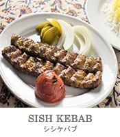 SHISH-KEBAB